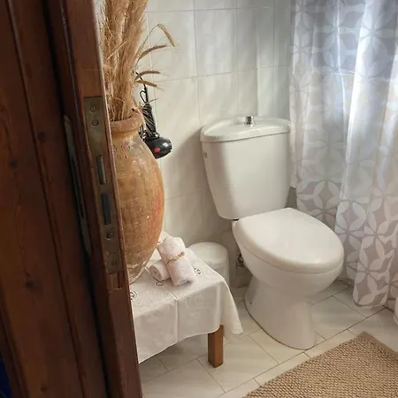 Apartment Sparrow's House
